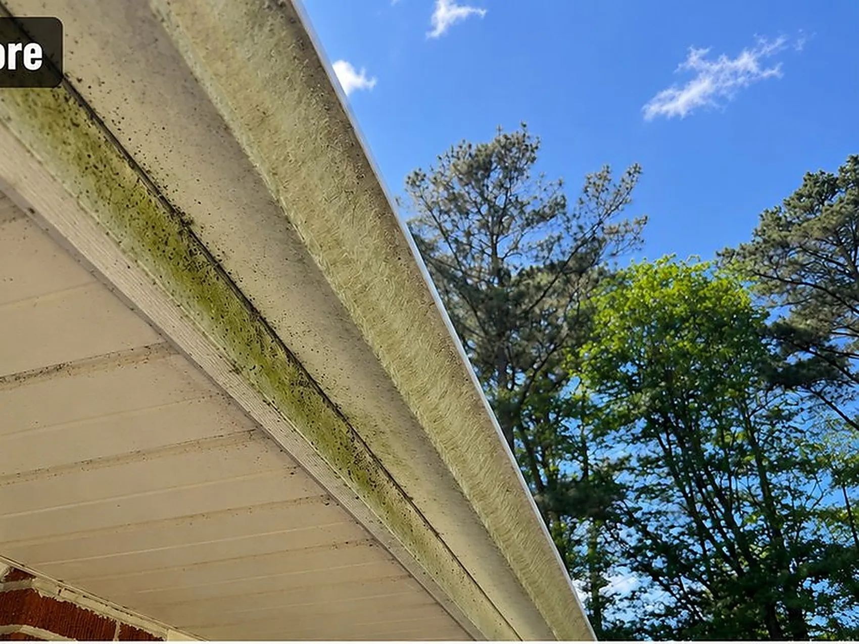 Gutter Brightening — Soffit & Eavestrough — before