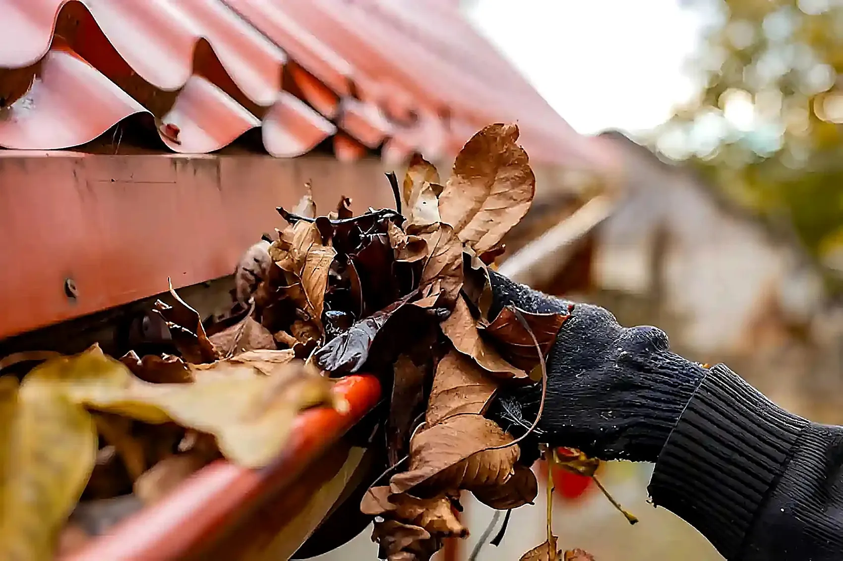 Eavestrough Cleaning in London, Ontario